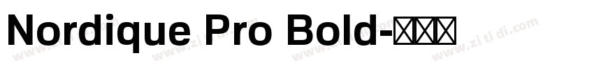 Nordique Pro Bold字体转换